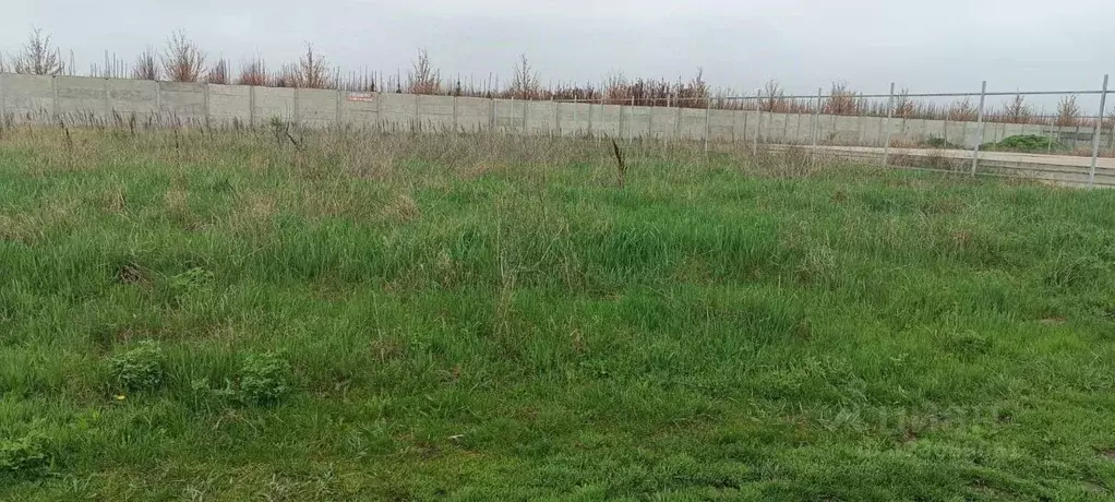 Участок в Краснодарский край, Краснодар городской округ, Ленина хут., ... - Фото 1