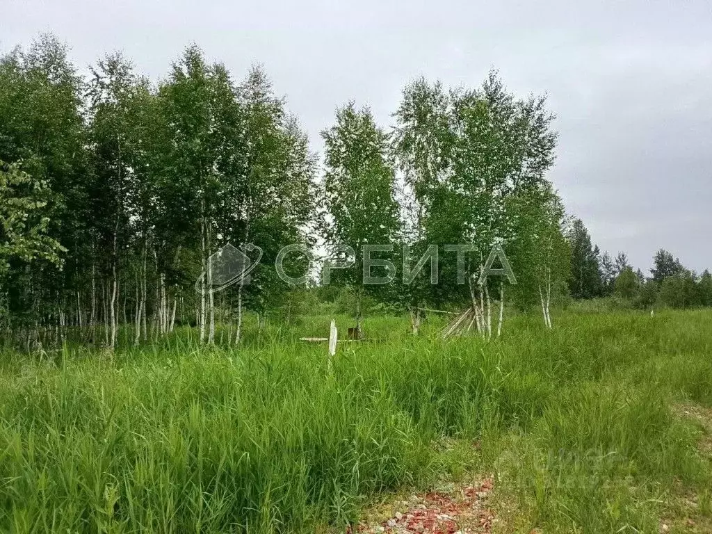Участок в Тюменская область, Нижнетавдинский район, Строитель ТСН 786 ... - Фото 0