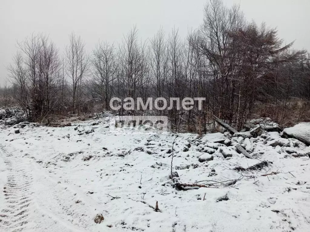 Участок в Сахалинская область, Анивский городской округ, с. Рыбацкое  ... - Фото 0