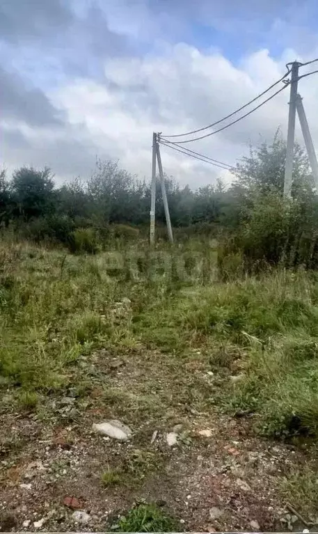 Участок в Калининградская область, Багратионовск  (7.52 сот.) - Фото 2