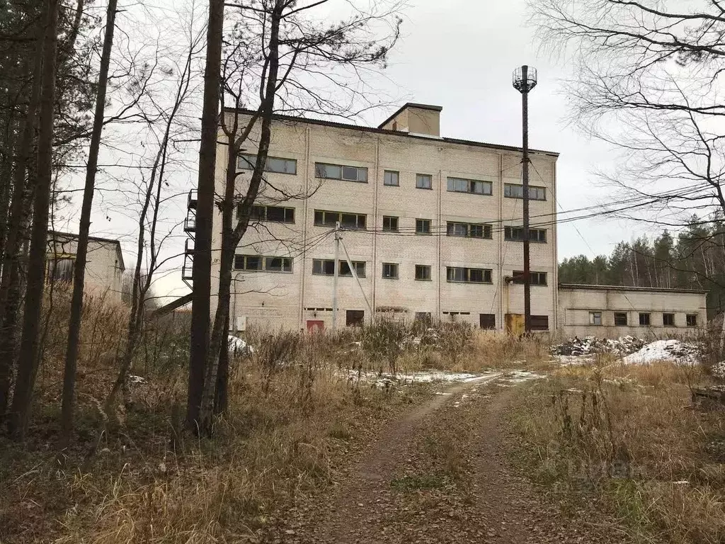 Склад в Костромская область, Костромской район, Сандогорское с/пос, ... - Фото 2