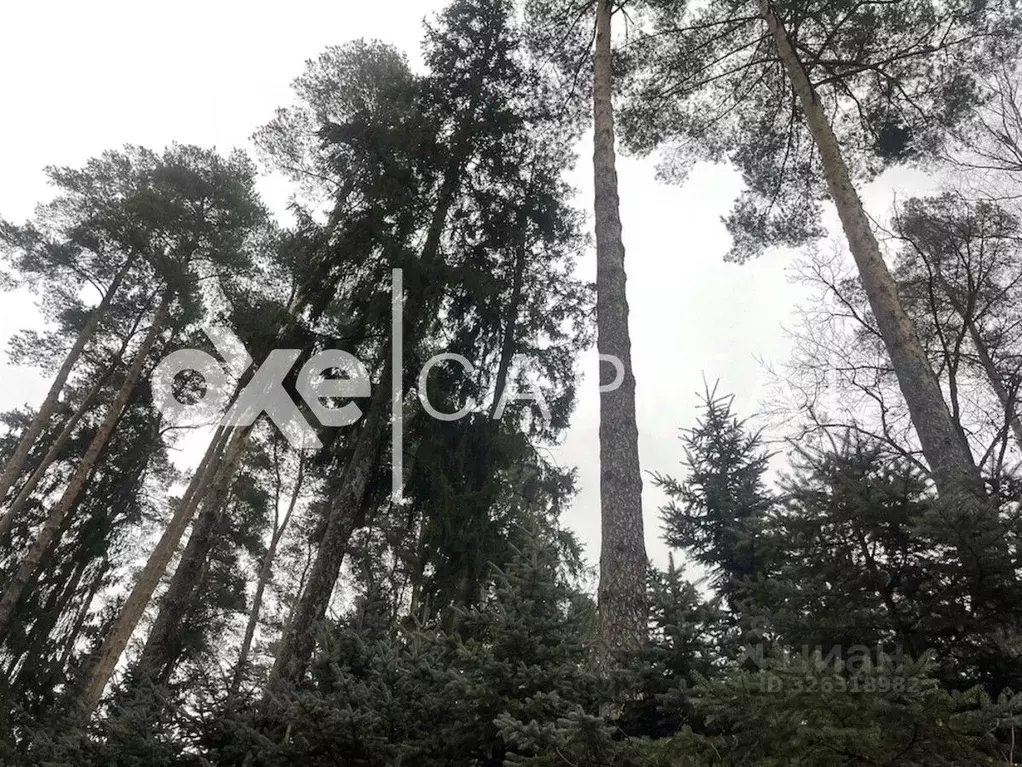 Участок в Московская область, Одинцовский городской округ, д. Бородки, ... - Фото 0