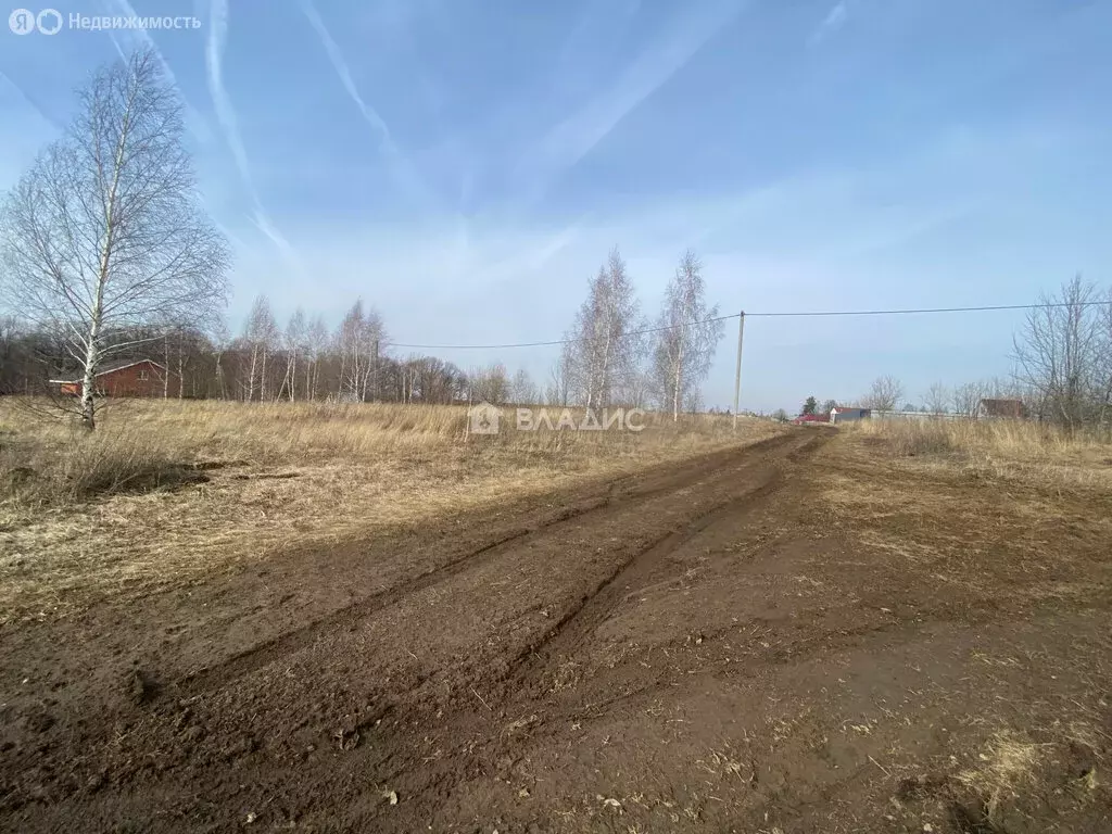Участок в Московская область, муниципальный округ Зарайск, деревня ... - Фото 2