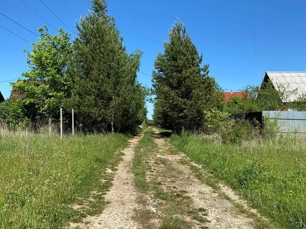 Участок в Владимирская область, Суздальский район, Павловское ... - Фото 1