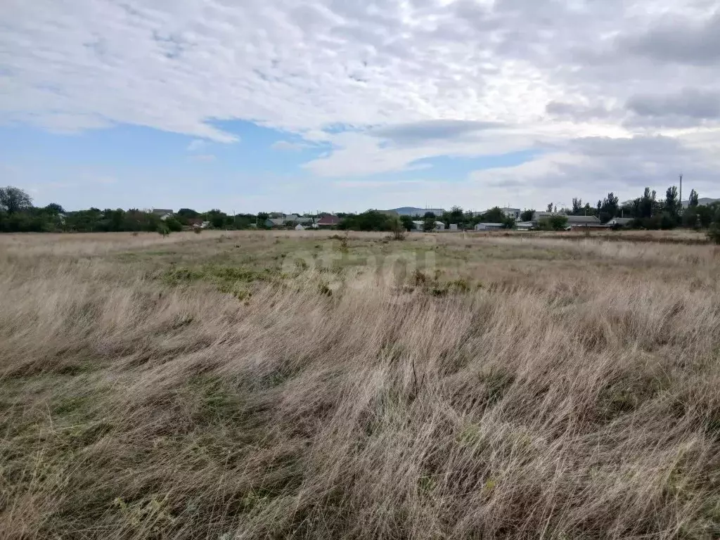 Участок в Крым, Феодосия муниципальный округ, с. Насыпное ул. ... - Фото 1