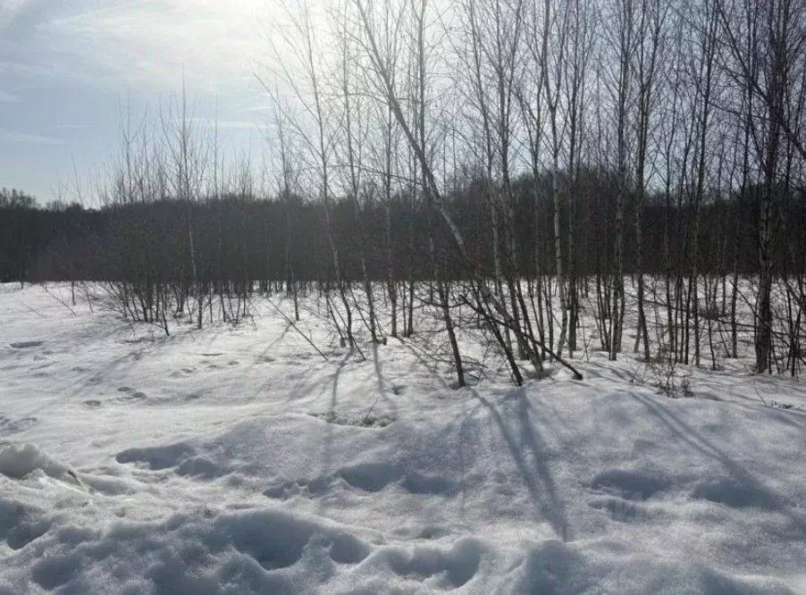 Участок в Московская область, Бронницы  (10.0 сот.) - Фото 2