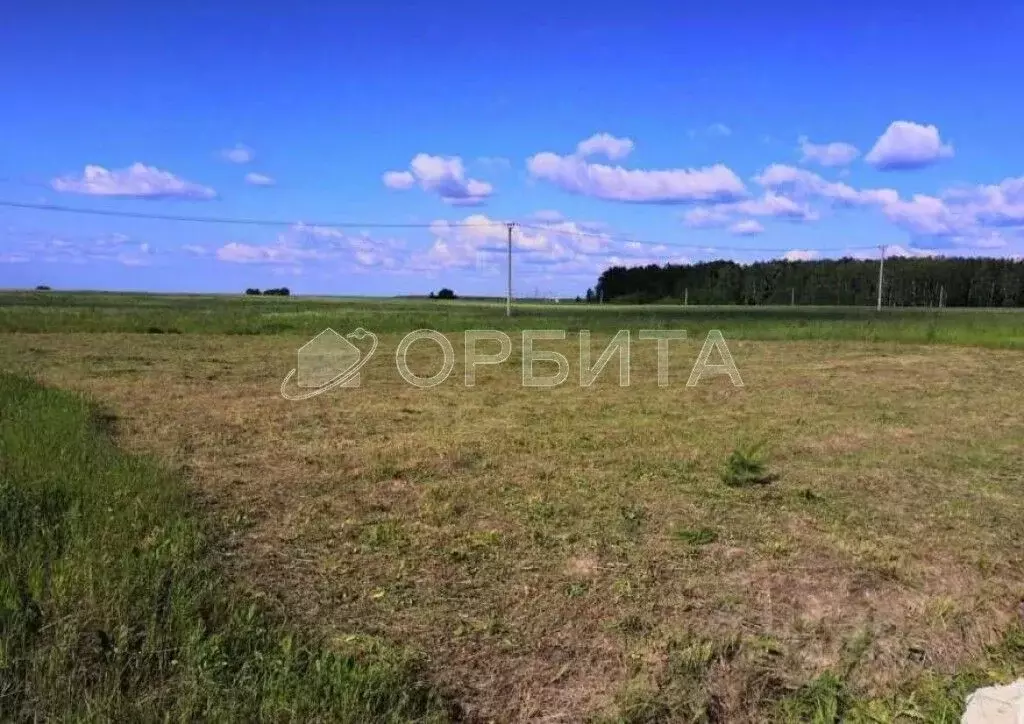 Участок в Тюменская область, Тюменский район, с. Кулаково  (6.37 сот.) - Фото 0