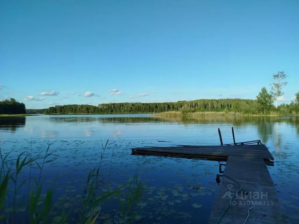 Участок в Псковская область, Великолукский район, Пореченская волость, ... - Фото 0