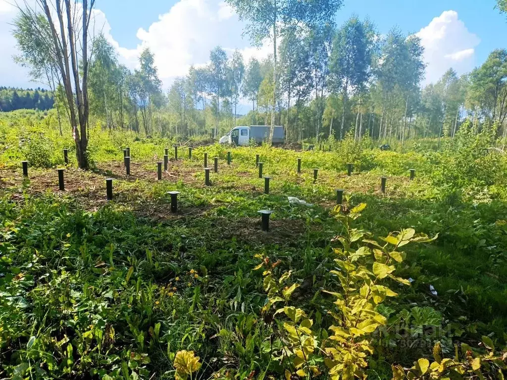 Участок в Московская область, Клин городской округ, Емеля дп  (1.0 ... - Фото 1