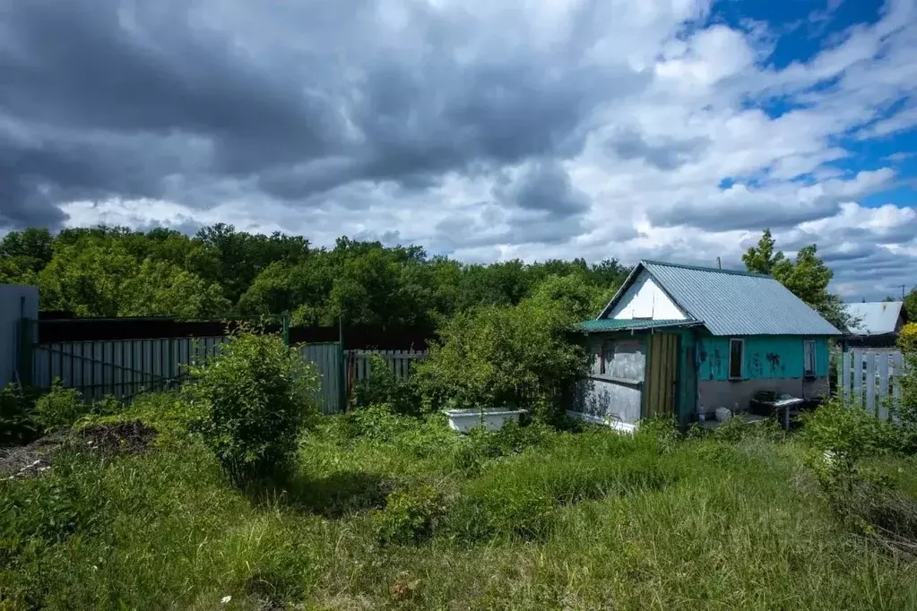 Участок в Самарская область, Красноярский район, Новосемейкино ... - Фото 1