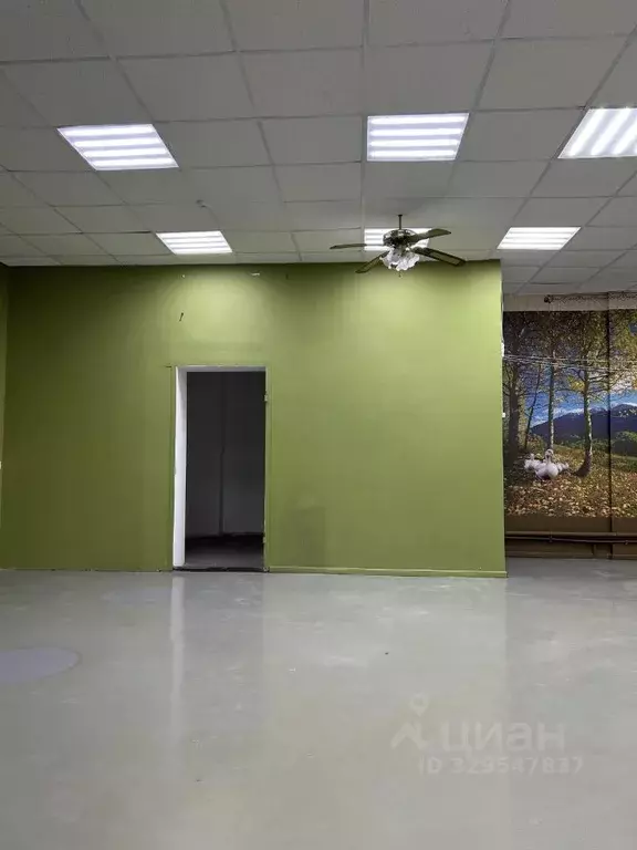 Помещение свободного назначения в Ставропольский край, Ставрополь ул. ... - Фото 1