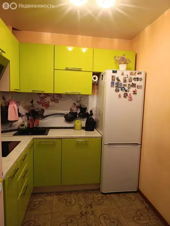 Квартира-студия: Новосибирск, Первомайская улица, 230 (27.4 м) - Фото 1