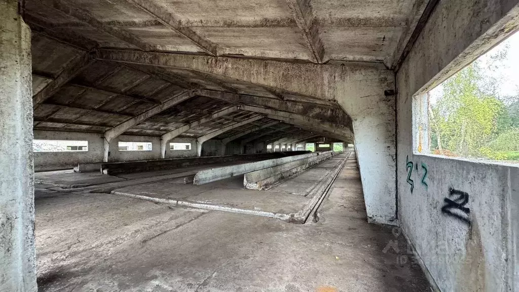 Склад в Московская область, Волоколамский муниципальный округ, Сычево ... - Фото 2