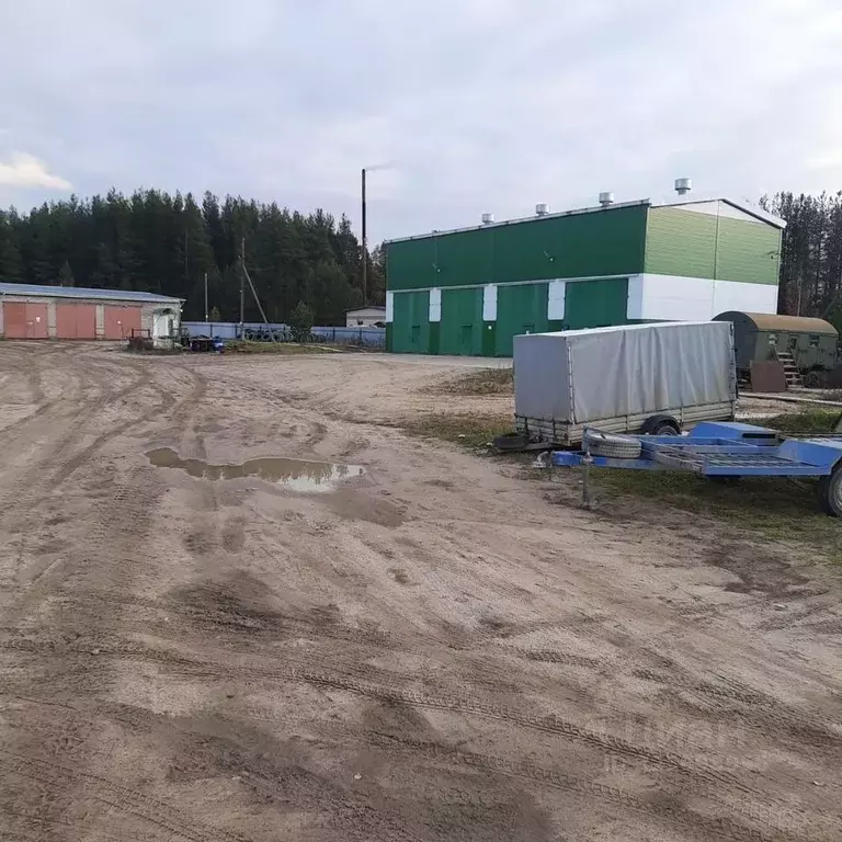 Помещение свободного назначения в Вологодская область, Верховажский ... - Фото 2