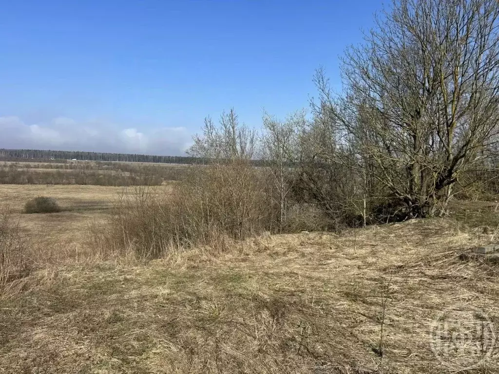 Участок в Ленинградская область, Всеволожский район, Колтушское ... - Фото 2