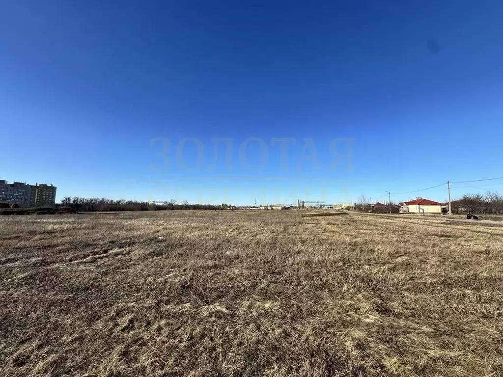 Участок в Белгородская область, Белгородский район, Беловское с/пос, ... - Фото 1