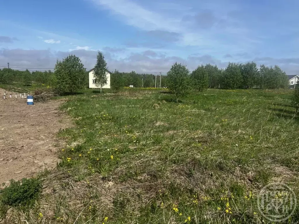Участок в Ленинградская область, Ломоносовский район, Лопухинское ... - Фото 1