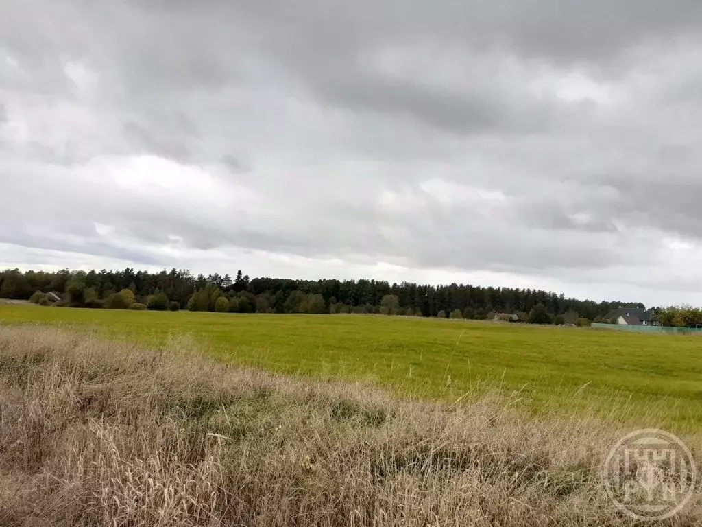 Участок в Ленинградская область, Выборгский район, Красносельское ... - Фото 2