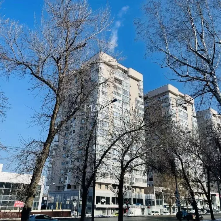 2-к кв. Самарская область, Самара Ново-Садовая ул., 134 (97.6 м) - Фото 2