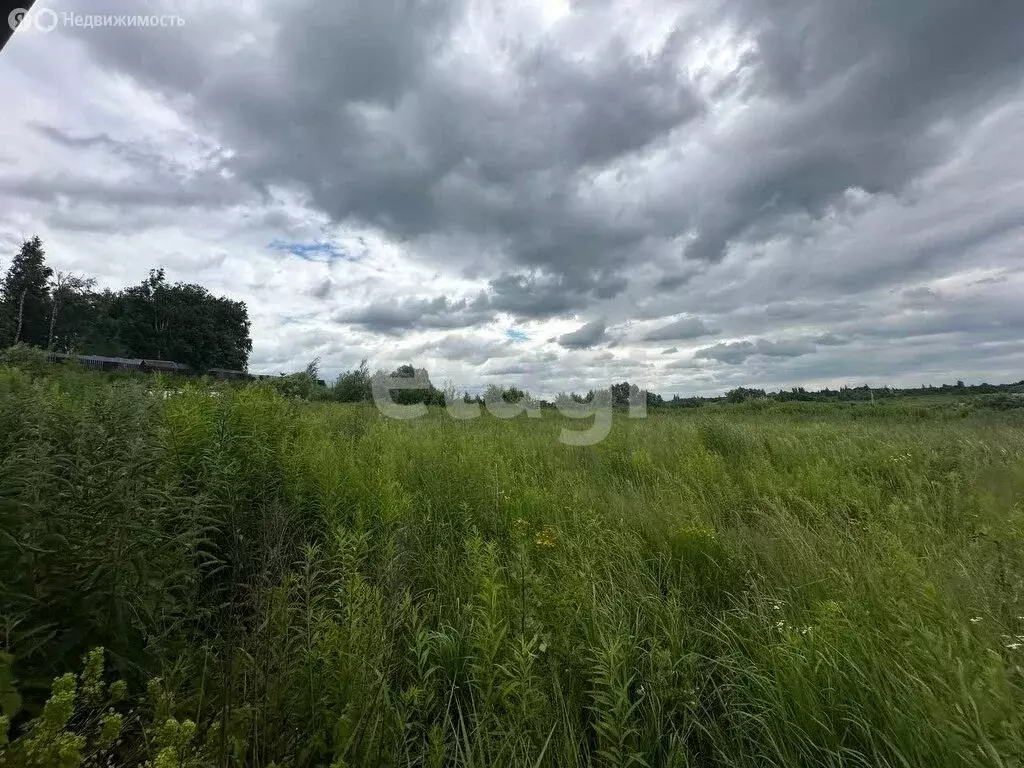 Участок в село Толмачево, улица Ромашина (120 м) - Фото 0