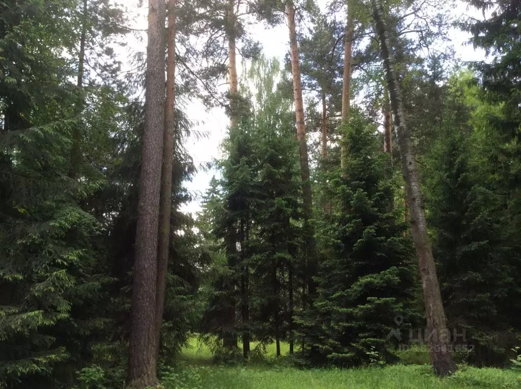 Участок, 25 сот., поселения (ижс) - Фото 1