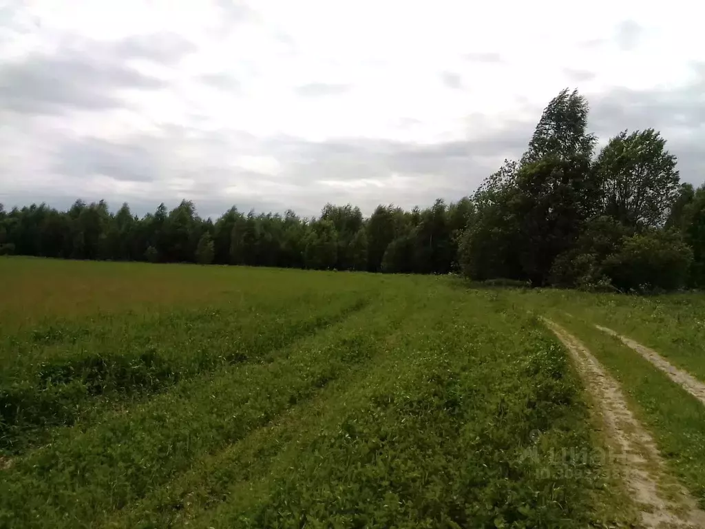 Участок в Нижегородская область, Сокольский городской округ, д. ... - Фото 1