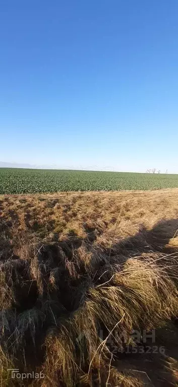 Участок в Калининградская область, Гвардейский муниципальный округ, ... - Фото 1