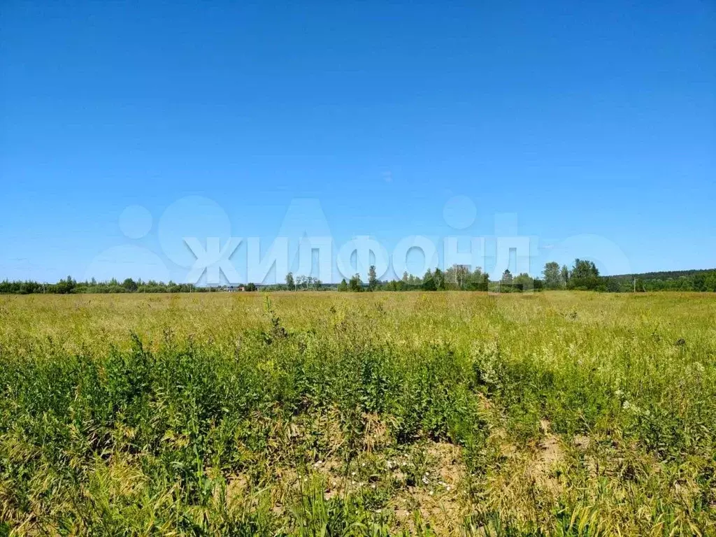 Участок 10 сот. (СНТ, ДНП) - Фото 0