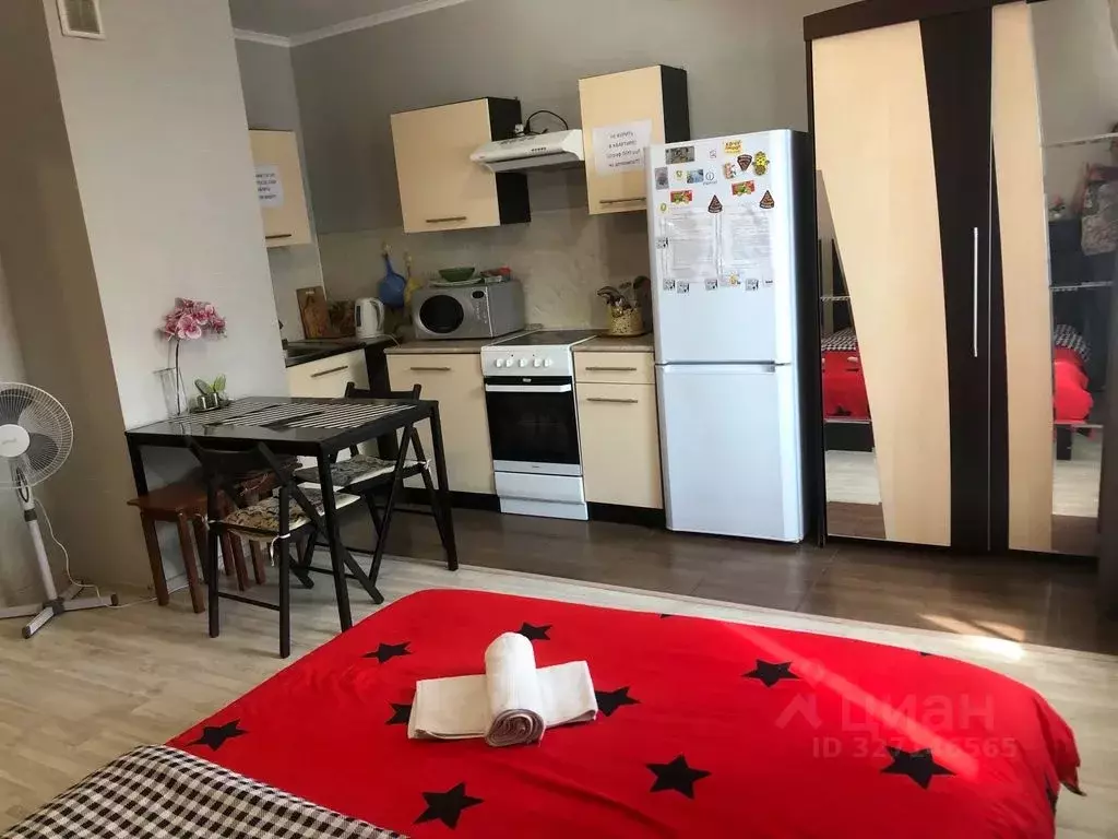 Студия Московская область, Люберцы Инициативная ул., 13 (30.0 м) - Фото 2