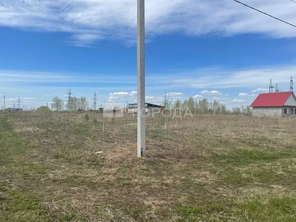 Участок в Алтайский край, Первомайский район, пос. Новый ул. 1-я ... - Фото 1