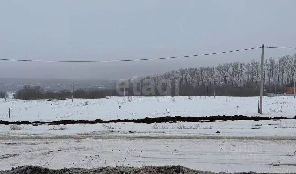 Участок в Мордовия, Саранск городской округ, пос. Пушкино ул. ... - Фото 2