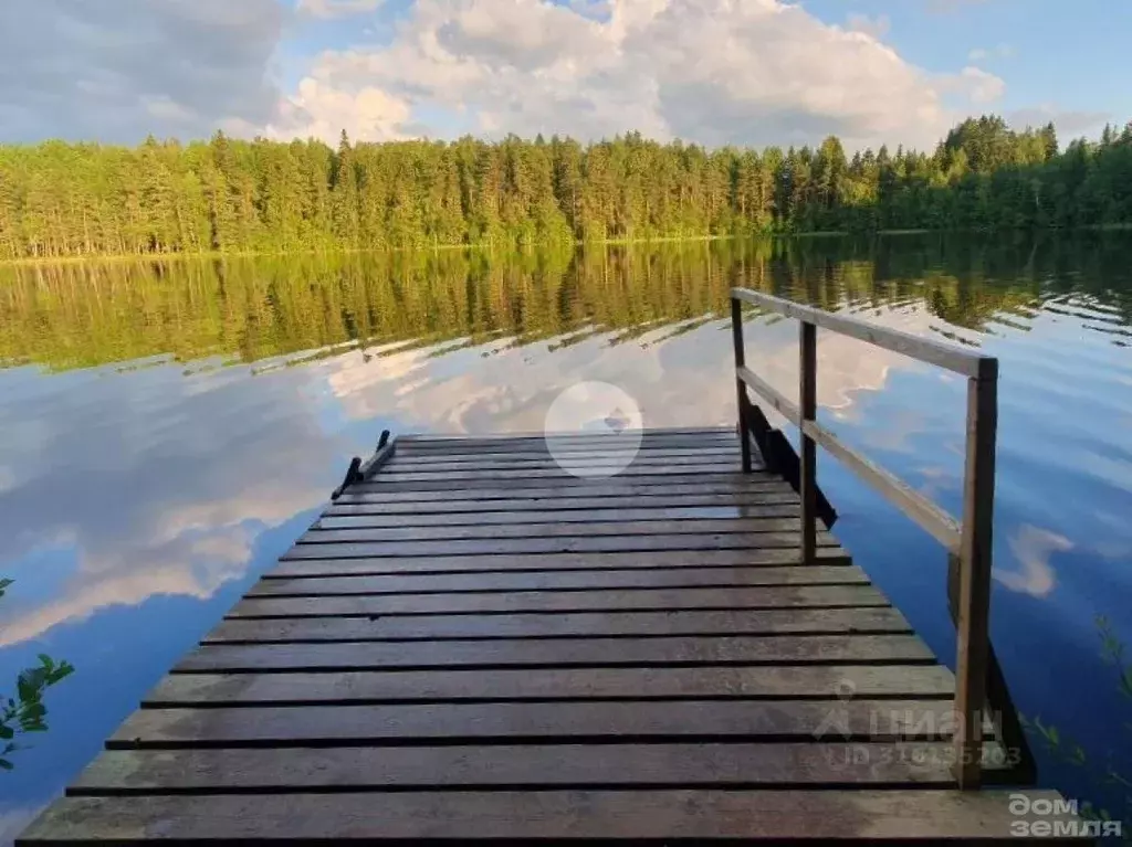 Дом в Ленинградская область, Тосненский район, Любанское городское ... - Фото 1