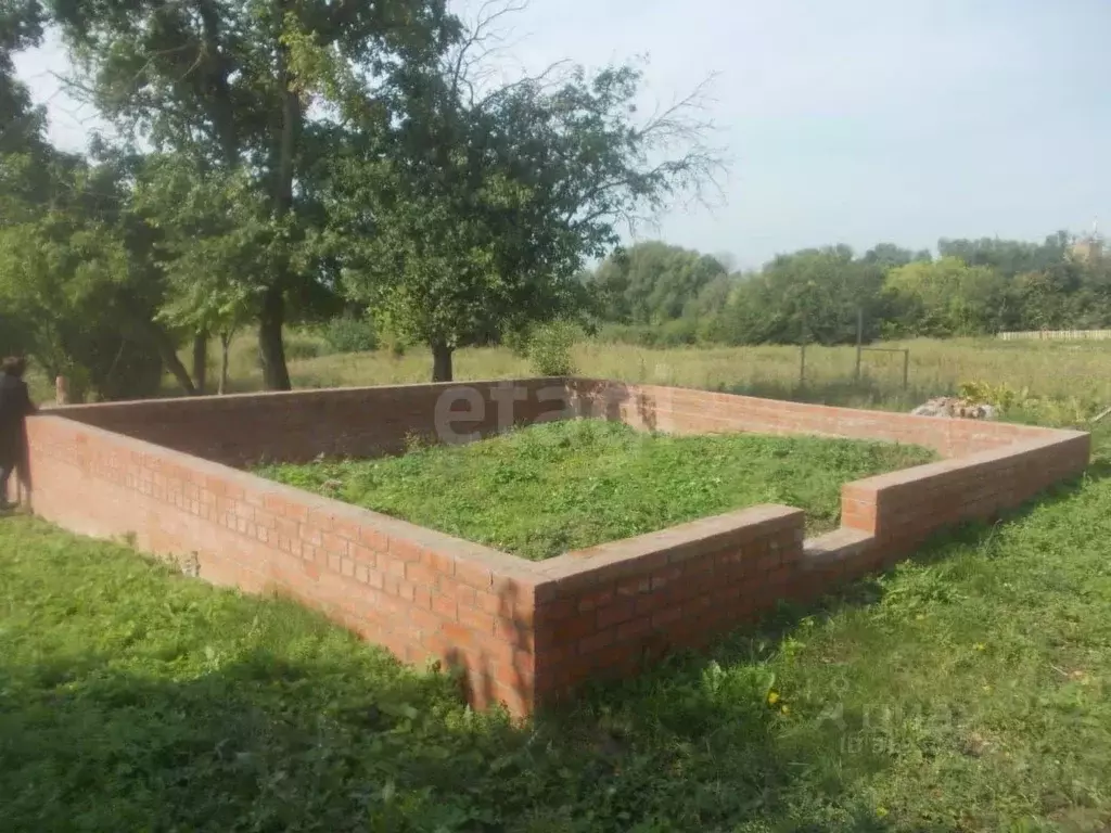 Дом в Воронежская область, Борисоглебский городской округ, с. Чигорак ... - Фото 1