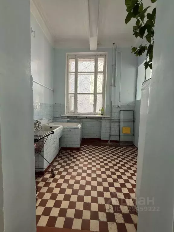 Помещение свободного назначения в Курская область, Курск ул. Радищева, ... - Фото 2