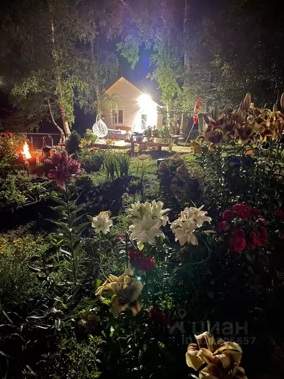 Дом в Новгородская область, Окуловский район, Кулотинское городское ... - Фото 1