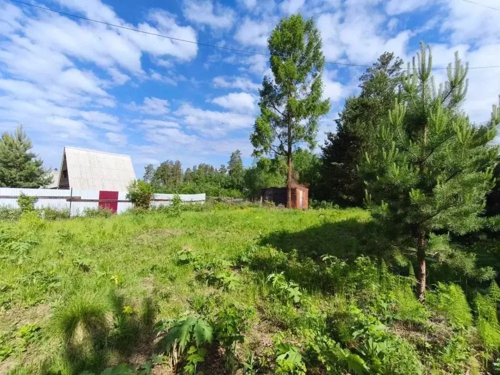 Участок в Иркутская область, Иркутский муниципальный округ, Зеленый ... - Фото 1