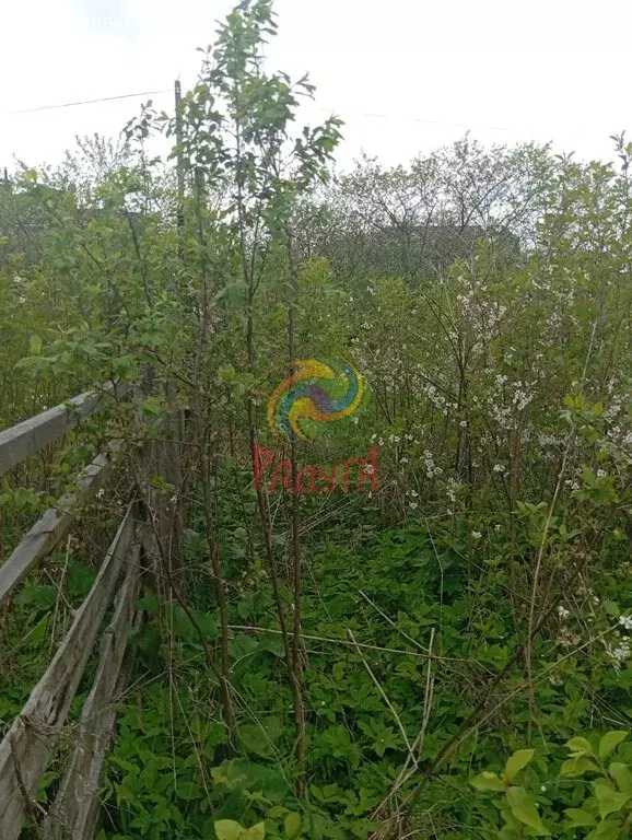 Участок в село Михалево, Деревенская улица, 11 (8 м) - Фото 0