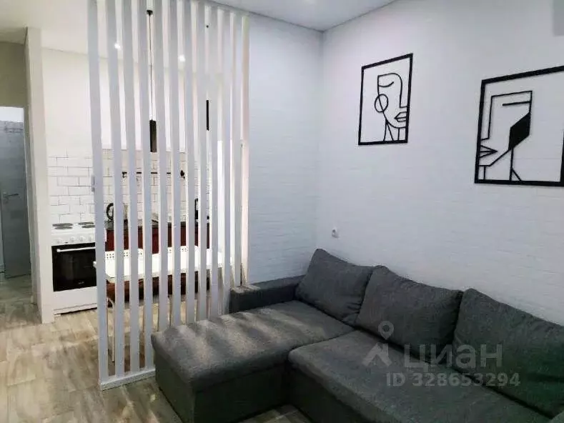 Студия Краснодарский край, Краснодар ул. Генерала Петрова, 41 (25.0 м) - Фото 1