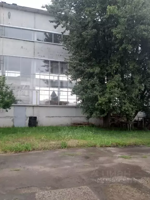 Склад в Курская область, Курск Литовская ул., 10А (387 м) - Фото 1