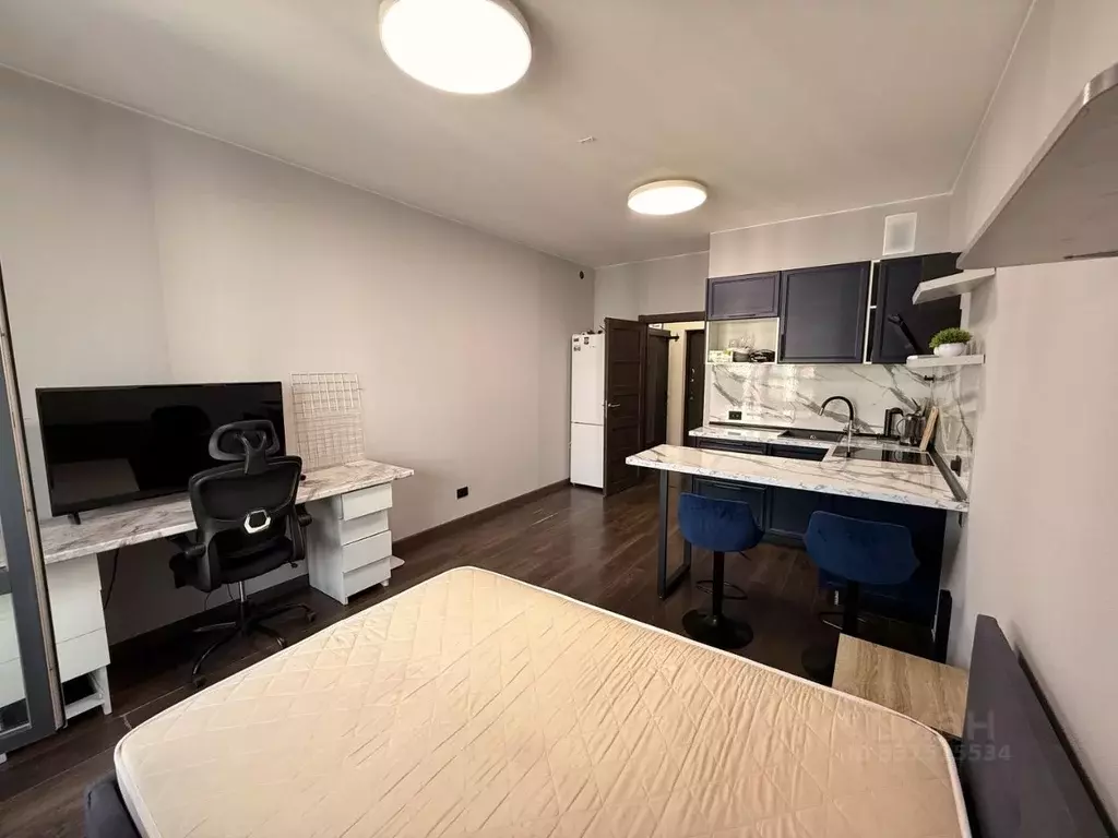 Студия Санкт-Петербург Фарфоровская ул., 7к1 (24.5 м) - Фото 1