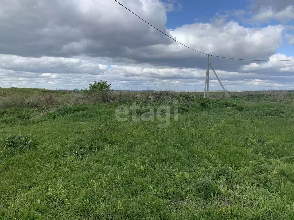 Участок в Саратовская область, Балашовский район, Хоперское ... - Фото 1