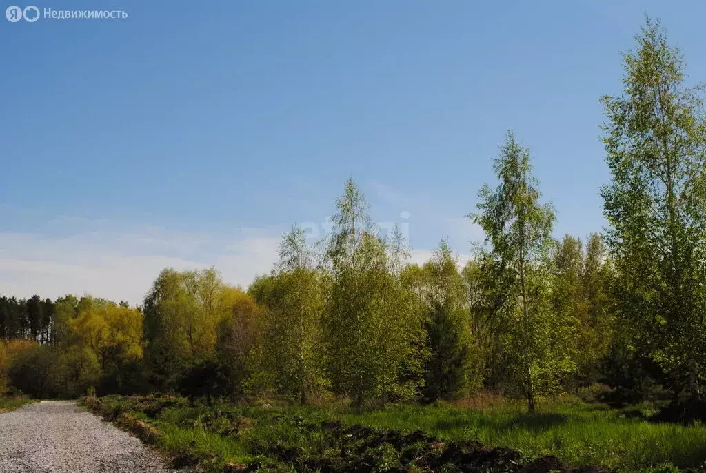 Участок в Новосибирский район, Морской сельсовет, село Ленинское (7 м) - Фото 1