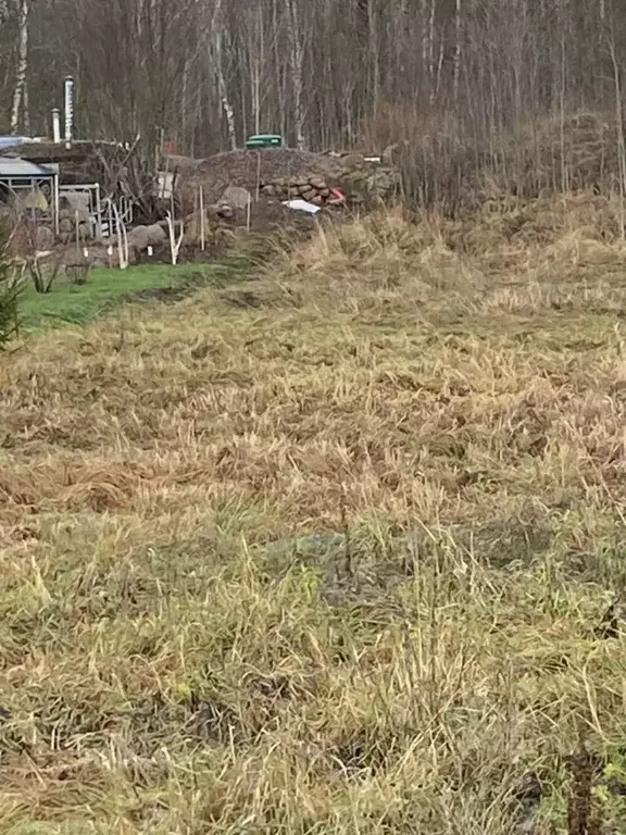 Участок в Ленинградская область, Выборгский район, Гончаровское с/пос, ... - Фото 2