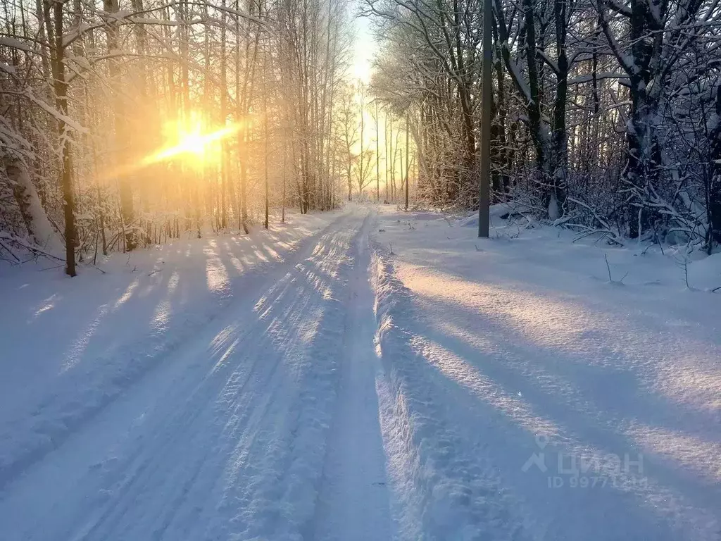 Участок в Нижегородская область, Чкаловск городской округ, д. Губцево  ... - Фото 0
