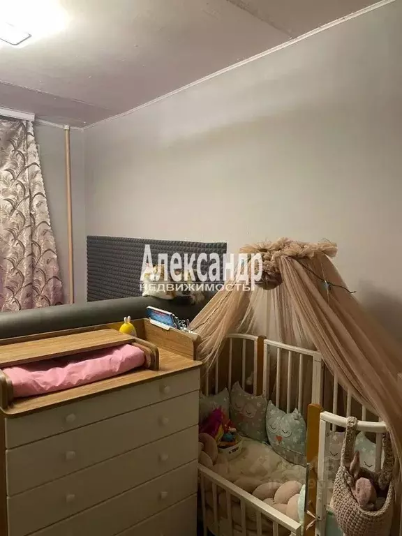 Комната Санкт-Петербург Придорожная аллея, 17 (13.2 м) - Фото 0