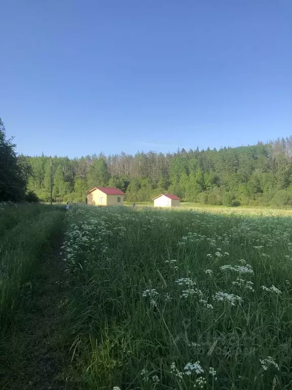 Участок в Карелия, Лахденпохский муниципальный округ, пос. Асилан 78 ... - Фото 1