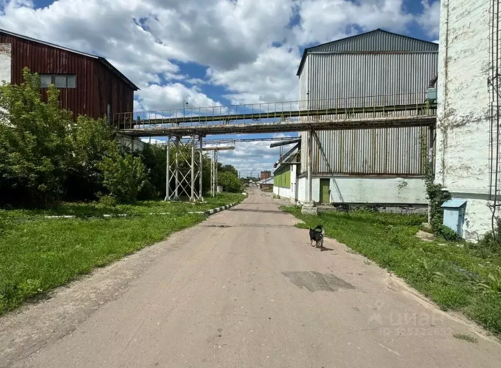 Склад в Воронежская область, Острогожский район, Гниловское с/пос, ... - Фото 2