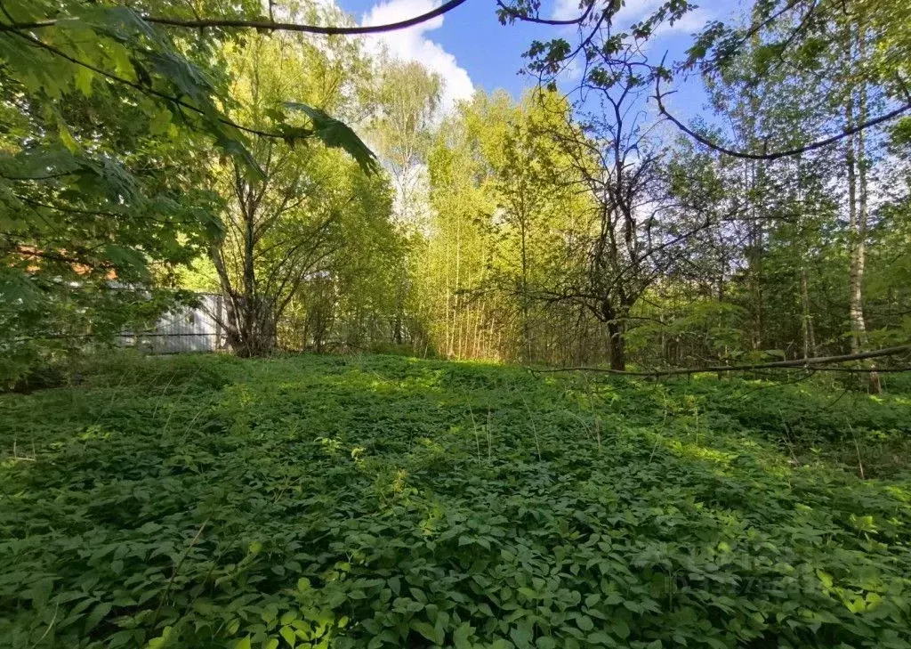 Участок в Московская область, Балашиха Салтыковка мкр, Верхняя ул. ... - Фото 1