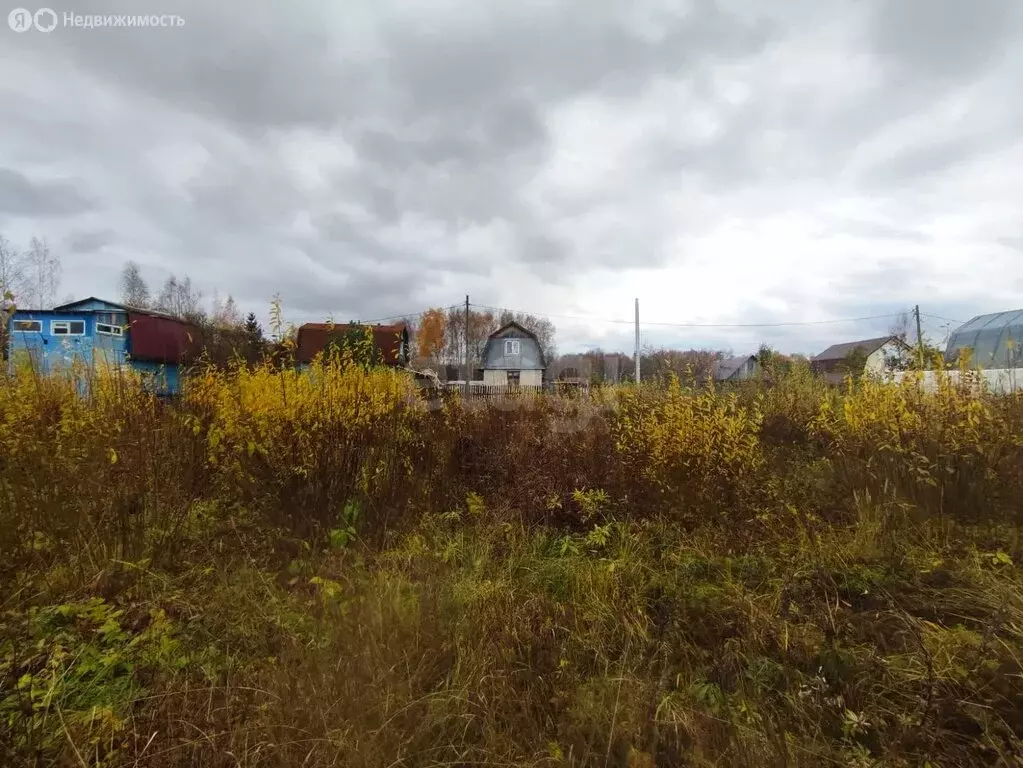 Участок в Кострома, садоводческое некоммерческое товарищество Майский ... - Фото 1