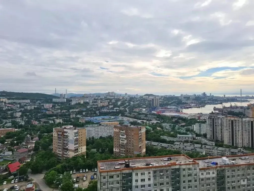 1-к кв. Приморский край, Владивосток ул. Каплунова, 10 (40.0 м) - Фото 0
